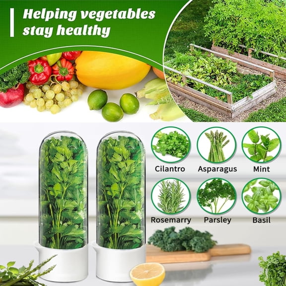 PYAN-Herb Saver for Refrigerator - Herb Keeper & Cilantro Container for Fridge | Vegetable Preservation Storage Container for Cilantro, Basil, Asparagus | Extends Freshness Up to 2-3 Weeks