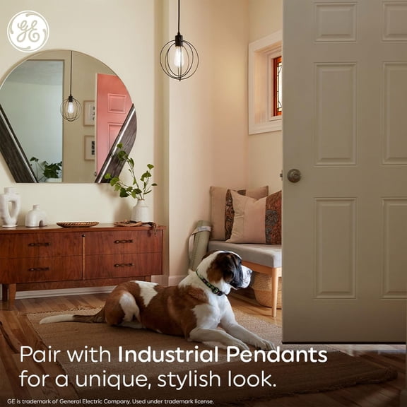 PYAN-Pearl Filament LED Light Bulbs, ST19 Edison Style, High-Definition and Dimmable LED Bulbs, Soft White, 60-Watt Replacement, 15,000 Hours Lifespan, 8 Pack