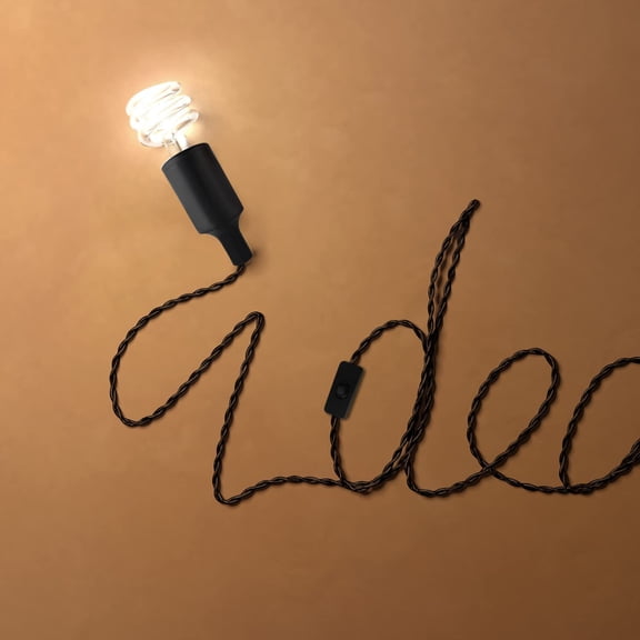 PYAN-Plug in Hanging Light Kit, Retro Hanging Lights with Plug in Cord, E26 E27 Industrial Pendant Light Fixture, 9.8 FT Cord with On/Off Switch Hanging Lamp for Living Room Bedroom 2 Pack (Black)