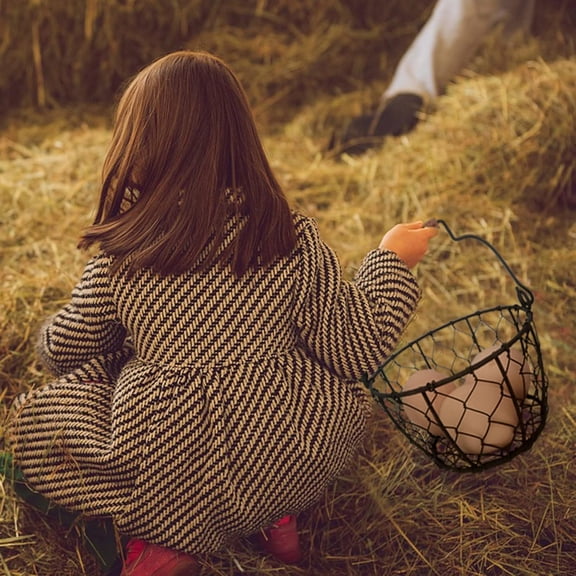 PYAN-Small Wire Egg Collecting Basket with Handle, Mini Rustic Farmhouse Chicken Wire Egg Basket for Gathering Fresh Eggs from Coop, Vintage Countertop Holder for Easter Egg Hunt, 2 PCS