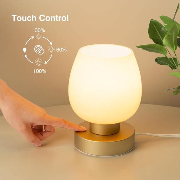 PYAN-Touch Bedside Table Lamp Set of 2 - Small Modern Table Lamp for Bedroom Living Room Nightstand, 3-Way Dimable Desk lamp with Desert Titanium Color Glass Lamp Shade, 2700K LED Bulb, Simple Design