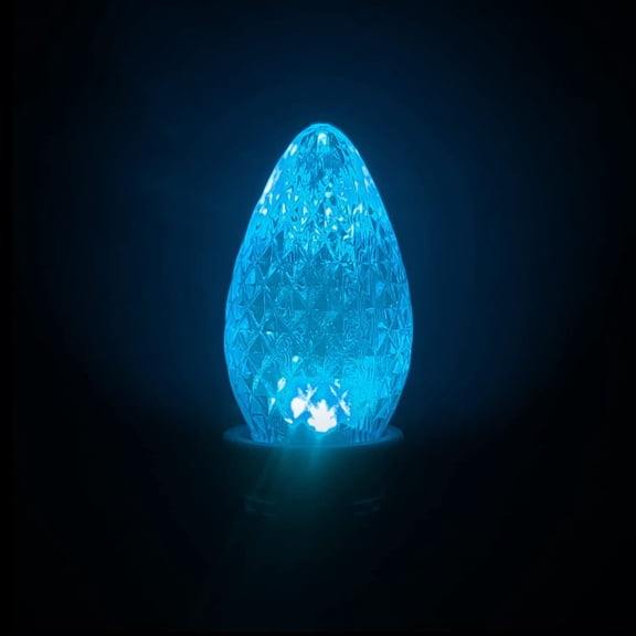 PYAN-UL Listed Box of 25 C7 Led Replacement Bulbs,2 SMD LEDs in Each C7 Dimmable Lights Bulb for Outdoor String Lights,Full Waterproof and Break Resistant (Teal Color)