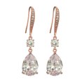 thumbnail image 1 of PYNZY Rose Gold Plated Jewelry Teardrop Dangle Hook Earrings for Women's Birthday Wedding Gift by Cubic Zirconia, 1 of 5