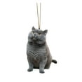 thumbnail image 1 of PYPESEEWY Home Decor Clearance Cat Dog Car Hanging Ornament,Deco Rear View Mirror,Funny Plane Deco, 1 of 3