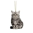 thumbnail image 1 of PYPESEEWY Retro Home Decor Clearance Cat Dog Car Hanging Ornament,Deco Rear View Mirror,Funny Plane Deco, 1 of 3
