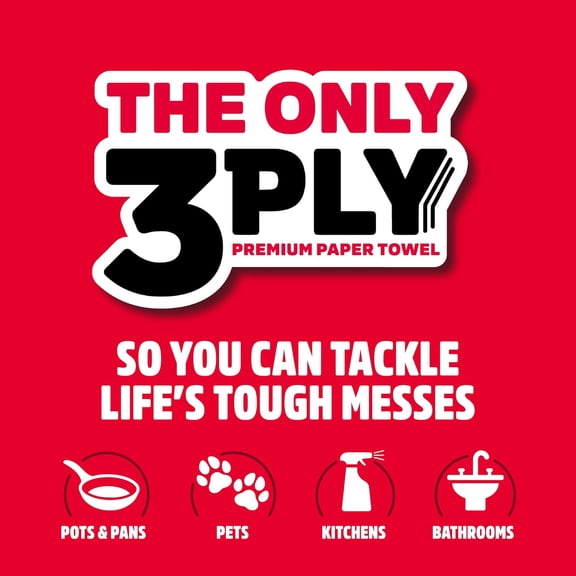 PYYNA-Tear-A-Square 3-Ply Paper Towels, 12 Double Rolls = 24 Regular Rolls, Strong, Absorbent, and Durable with 3 Sheet Sizes