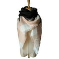 thumbnail image 1 of PaZinger Women's Warm Plaid Large Tartan Scarf Cape Blanket Scarves Fashion Wrap Shawl, 1 of 4