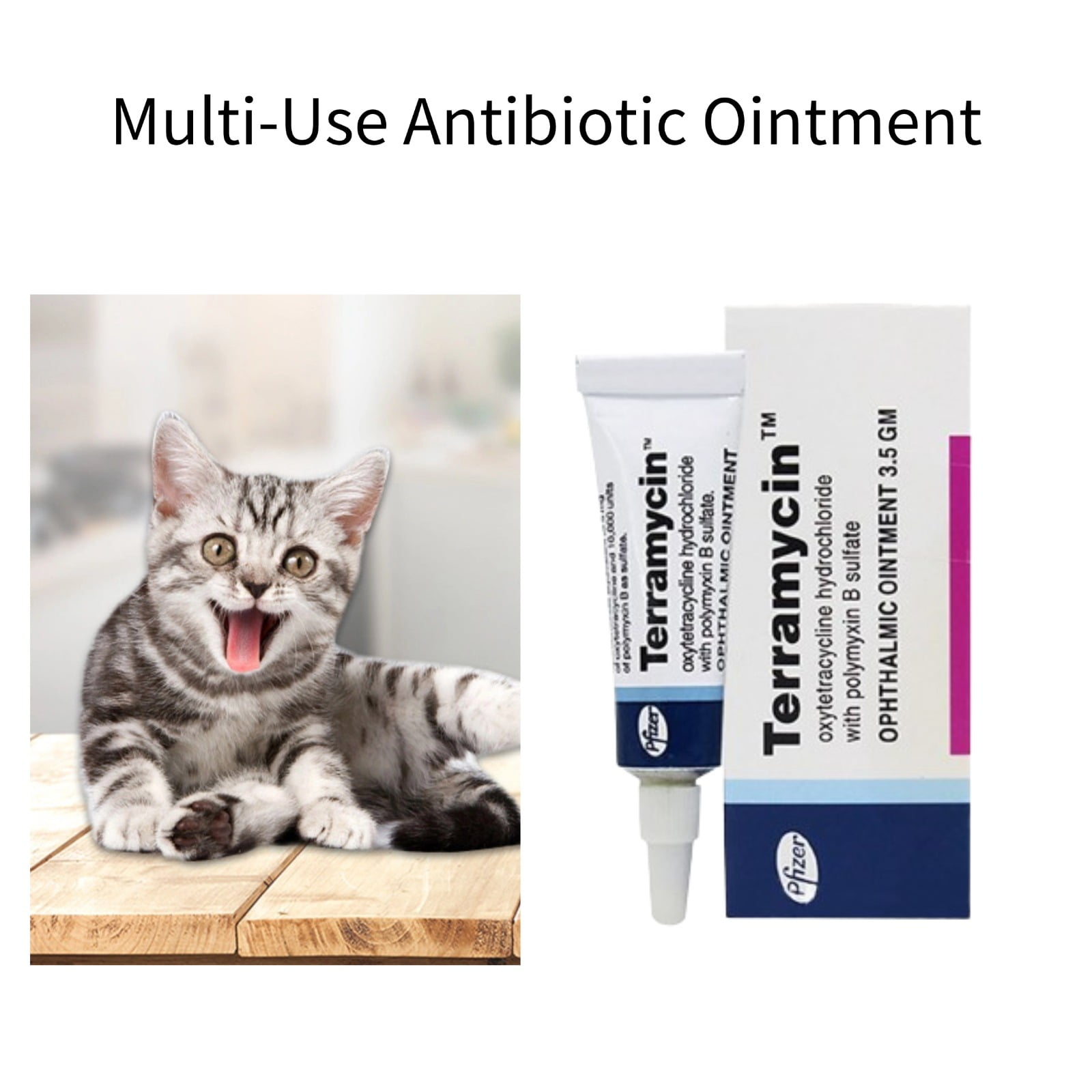 Paaisye Terramycin eye ointment for cats, dogs & horses Antibiotic