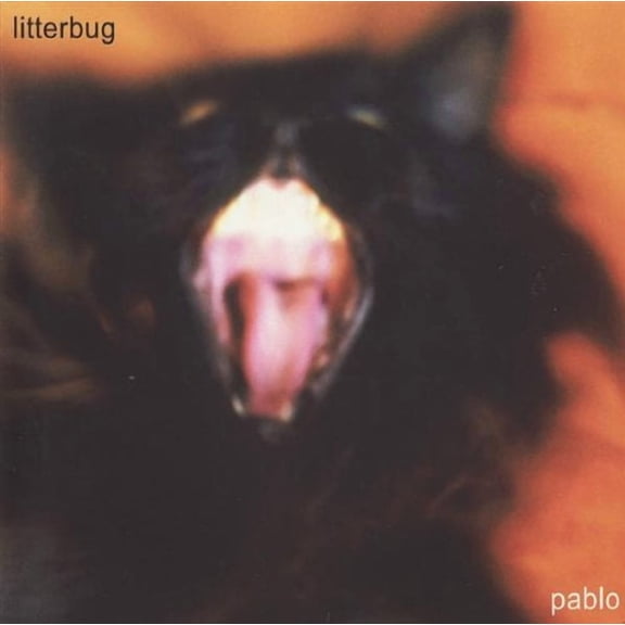 Pablo (Audiobook)