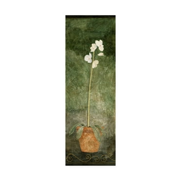 Pablo Esteban 'White Orchid In Pot On Green' Canvas Art