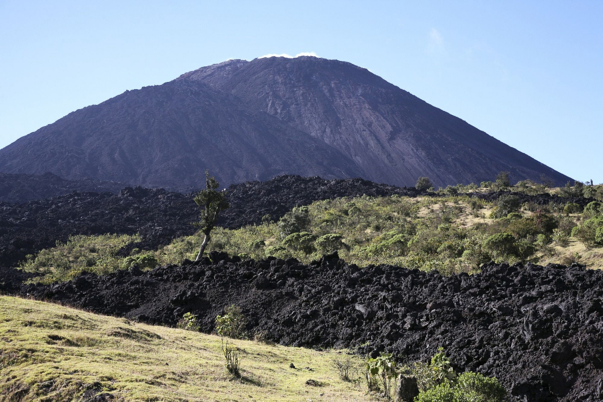 Pacaya volcano Guatemala Canvas Art - Richard RoscoeStocktrek Images (18 x 12)