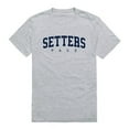 thumbnail image 1 of Pace University Setters Game Day T-Shirt, Heather Grey - Extra Large, 1 of 1
