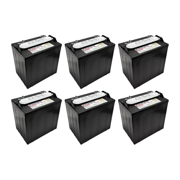 Pacer P-875 8 Volt 165Ah Deep Cycle Battery - Replaces Trojan T-875 | Set of 6