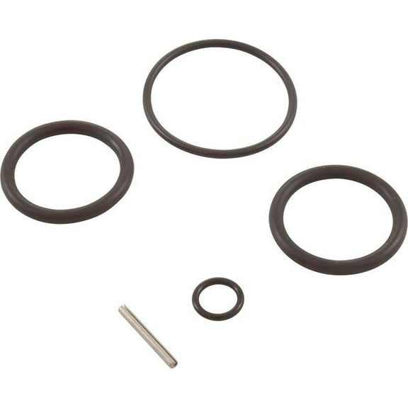 Pentair O-Ring Replacement Kit Push Pull Valve 263054