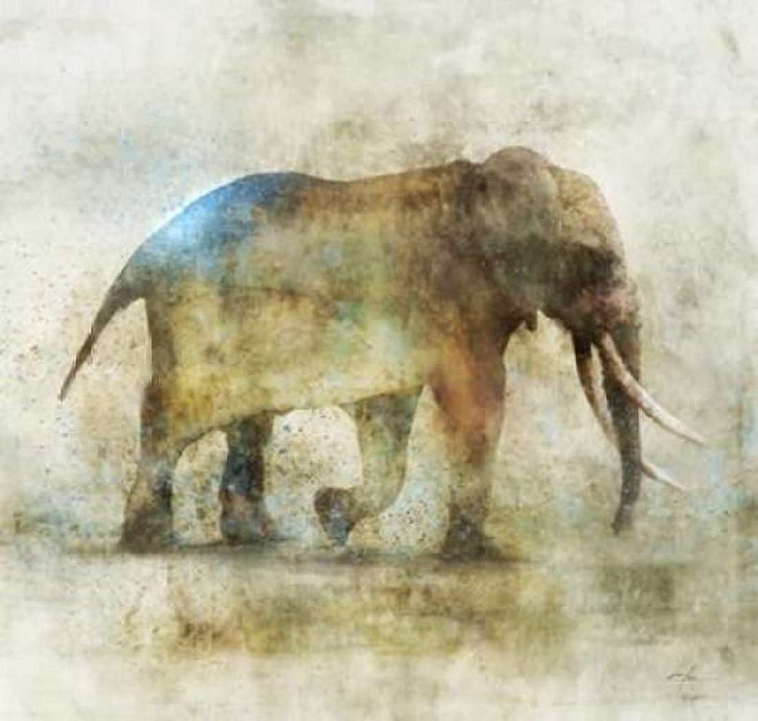 Pachyderm Dance 1-Revised Canvas Art - Ken Roko (24 x 24)