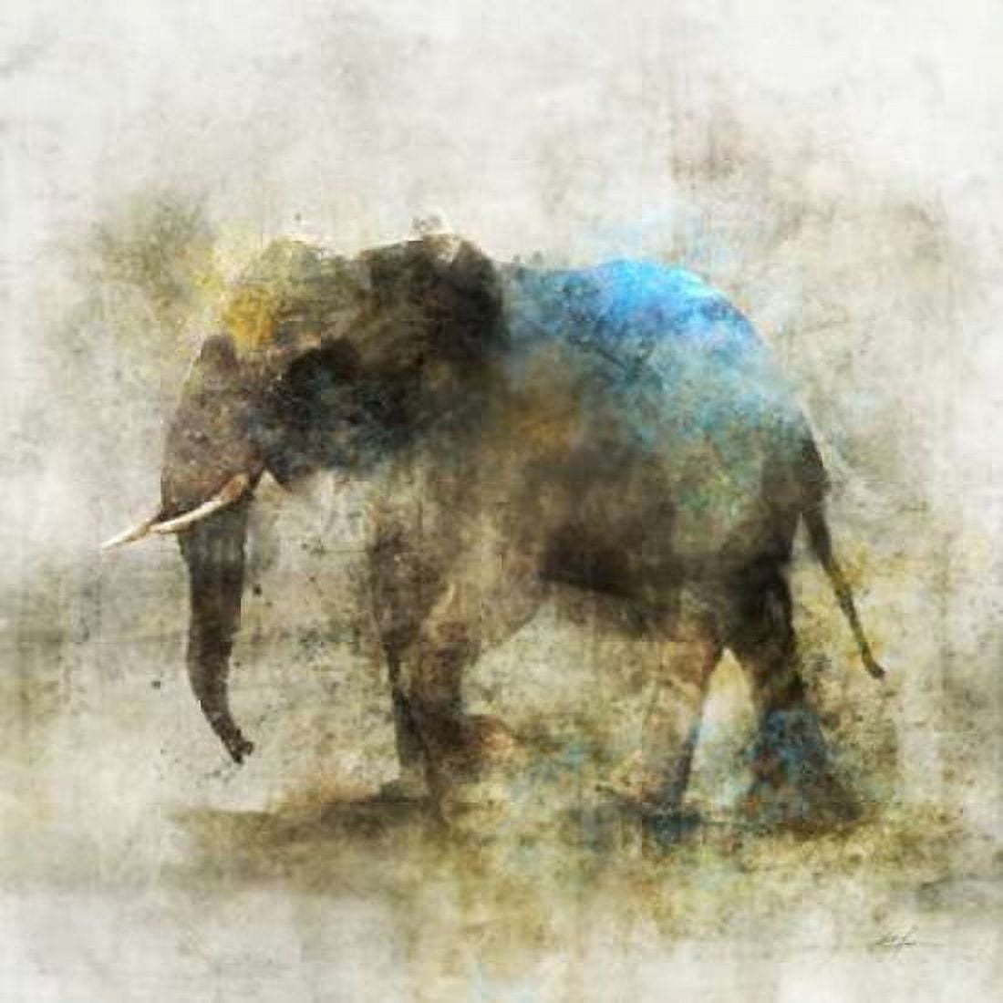 Pachyderm Dance 2 Canvas Art - Ken Roko (24 x 24)