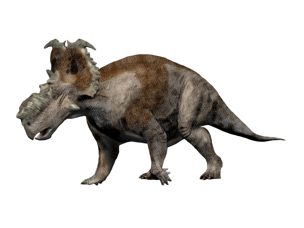 Pachyrhinosaurus dinosaur Canvas Art - Nobumichi TamuraStocktrek Images (33 x 25)