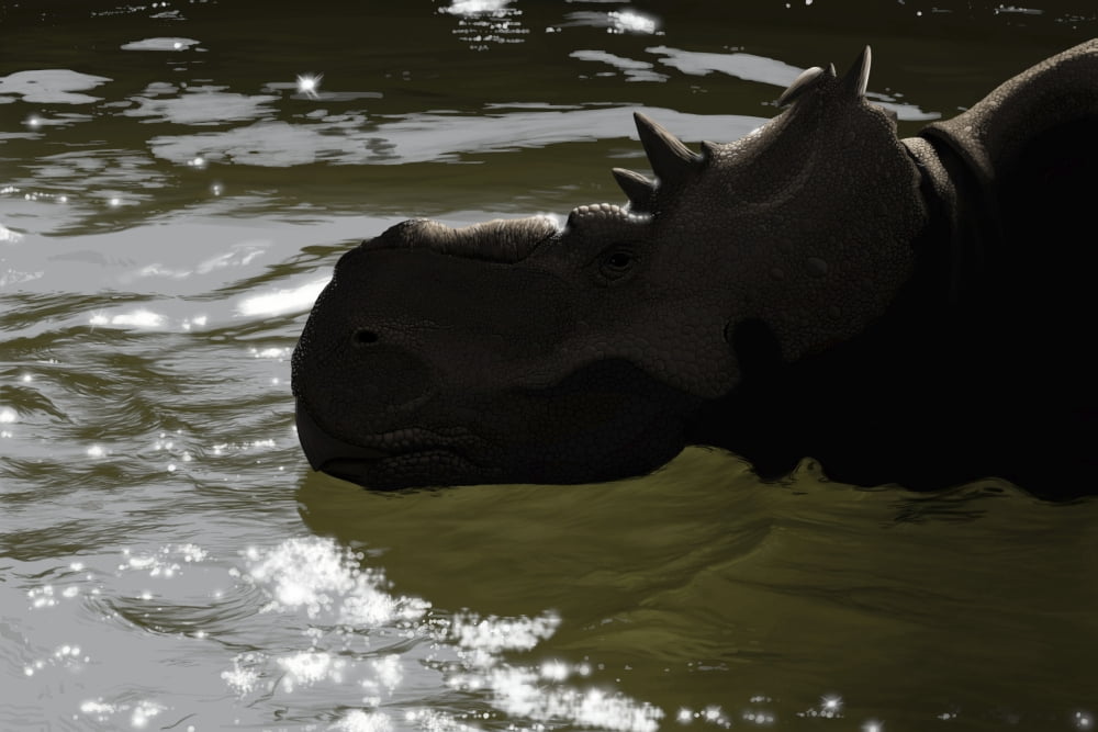 Pachyrhinosaurus dinosaur in a prehistoric lake Canvas Art - Michele DessiStocktrek Images (18 x 12)