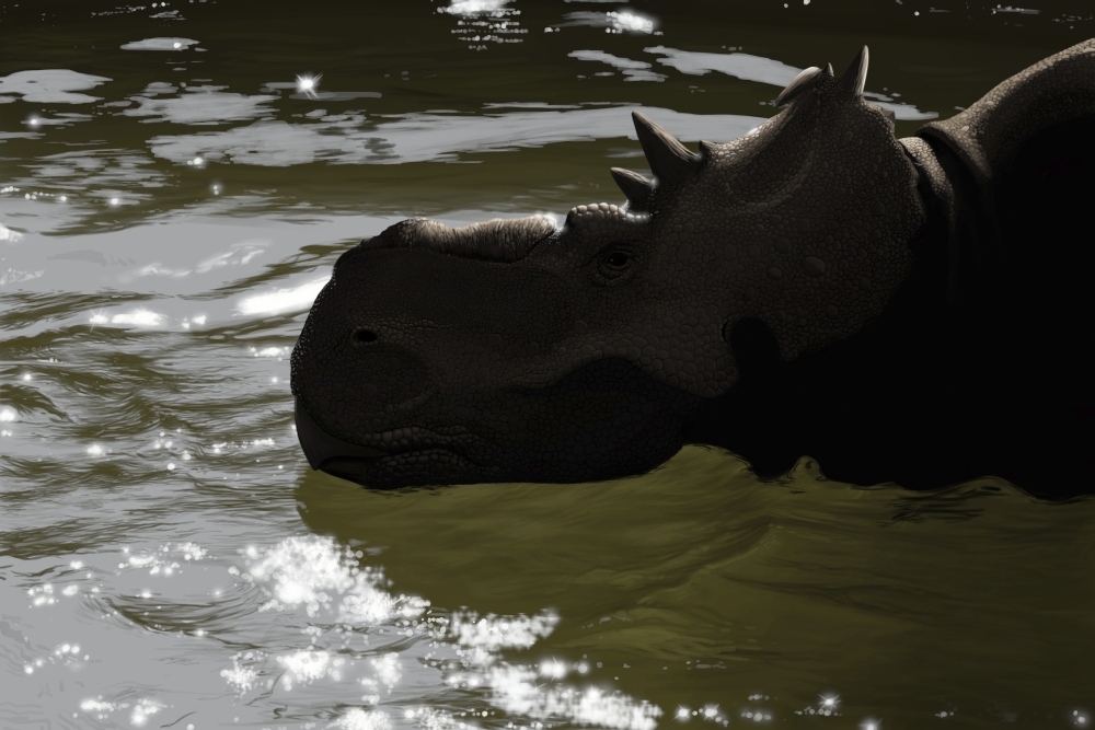 Pachyrhinosaurus dinosaur in a prehistoric lake Canvas Art - Michele DessiStocktrek Images (35 x 23)