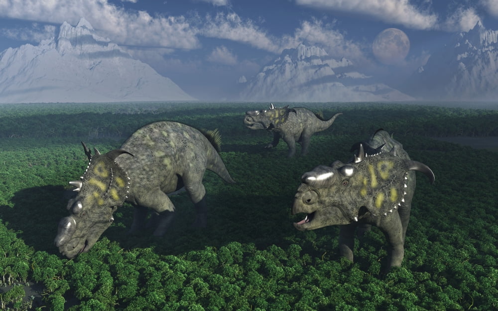 Pachyrhinosaurus dinosaurs grazing Canvas Art - Mark StevensonStocktrek Images (18 x 12)