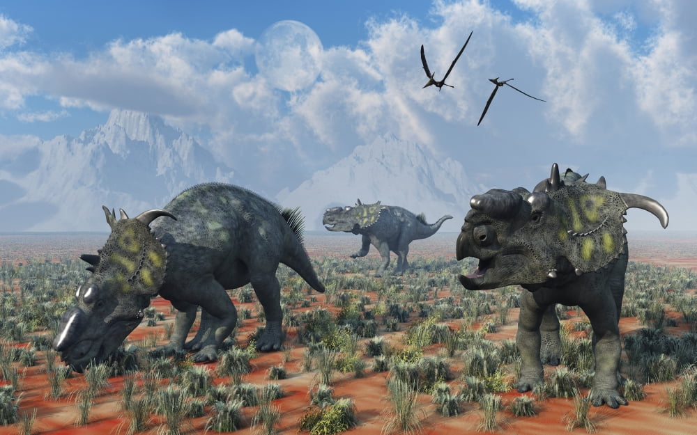 Pachyrhinosaurus dinosaurs grazing Canvas Art - Mark StevensonStocktrek Images (36 x 23)
