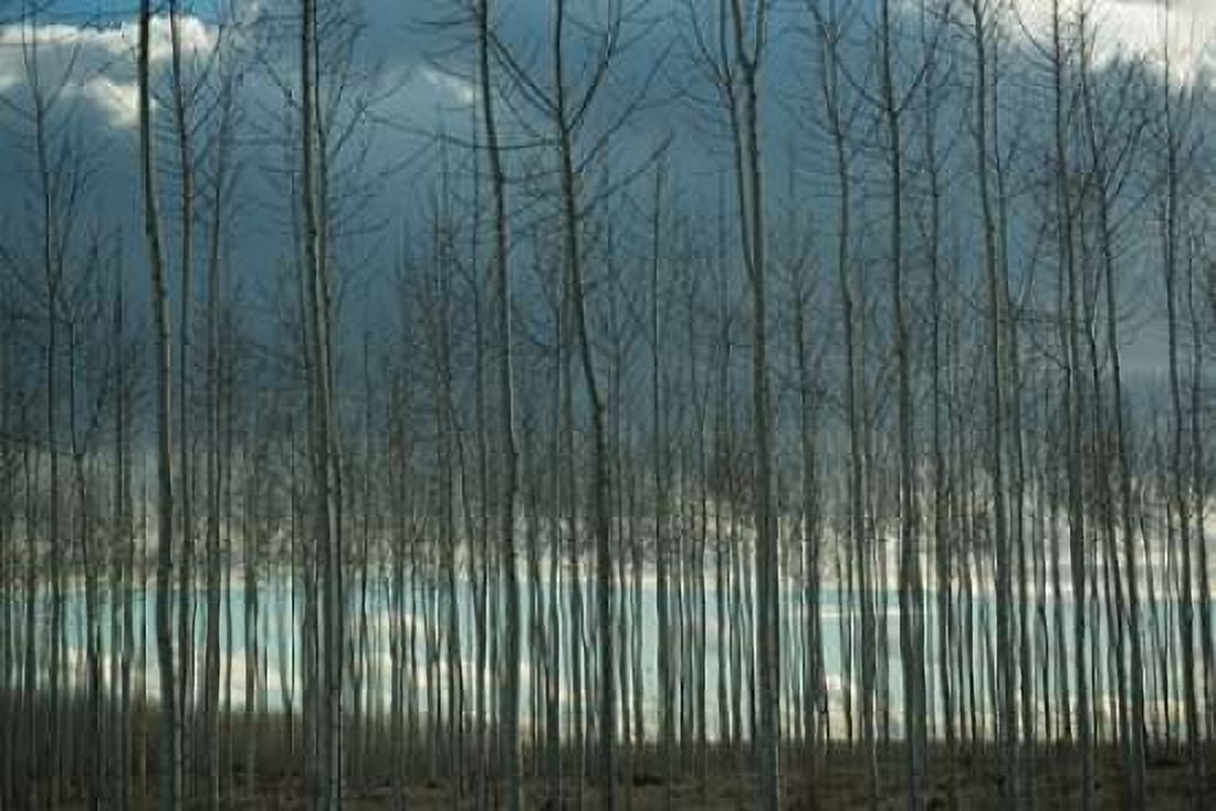 Pacific Albus and Clouds I Canvas Art - Erin Berzel (24 x 36)