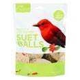 thumbnail image 1 of Pacific Bird & Supply Co. Insect + Hot Pepper Suet Balls, 6pk, 1 of 3