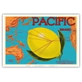 thumbnail image 1 of Pacific Brand - Johnston Fruit Co. - Pacific Ocean Map Routes - Citrus - Vintage Fruit Crate Label c.1917 - Master Art Print (Unframed) 13in x 19in, 1 of 4