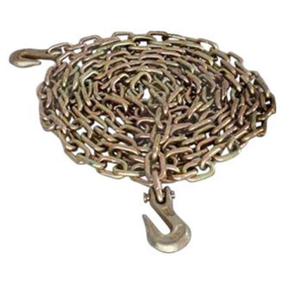 Pacific Carg P6A-31G7020B1 0.31 x 20 ft. Chain with Grab Hooks