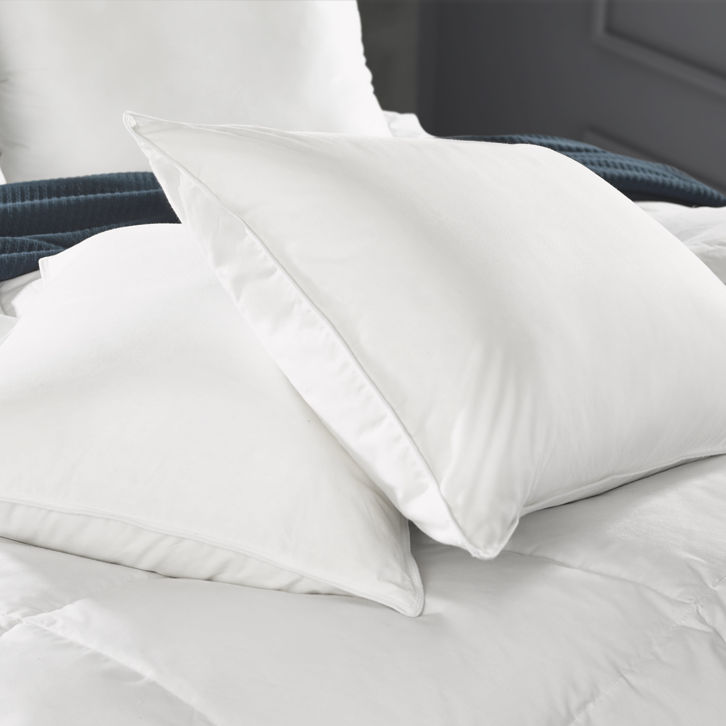 Pacific Coast Feather Hotel Symmetry Down Pillow, Standard/Queen