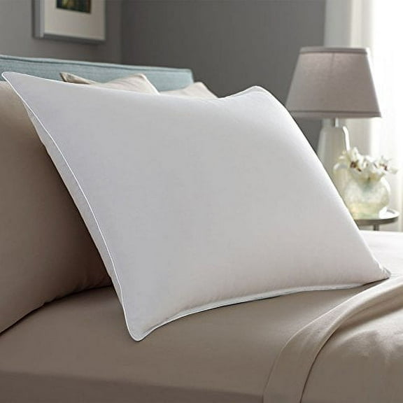 Pacific Coast Touch of Down Queen Size 2-Pillow Set with 2 Queen Size Pillowtex Pillow Protectors