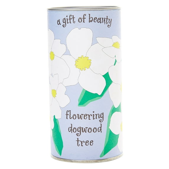 Pacific Dogwood | Tree Seed Grow Kit | The Jonsteen Company