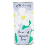 Pacific Dogwood | Tree Seed Grow Kit | The Jonsteen Company