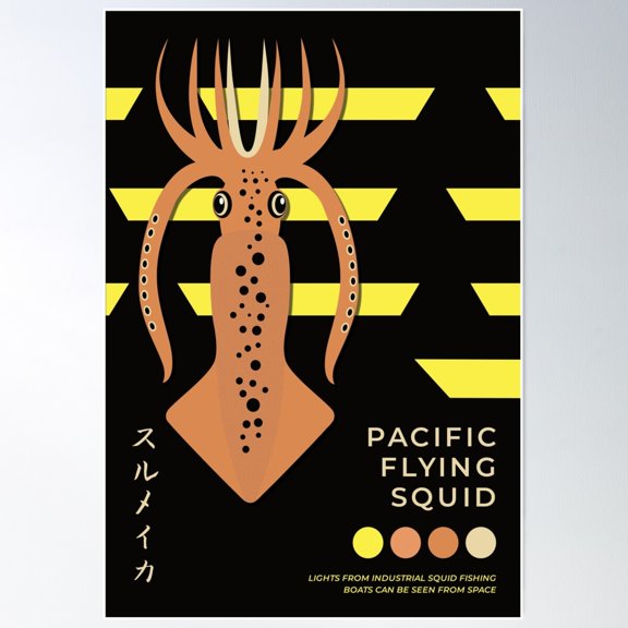 Pacific Flying Squid Poster Wall Art, Modern Wall Decor For Living Room Bedroom, 8x12 UNFRAMED