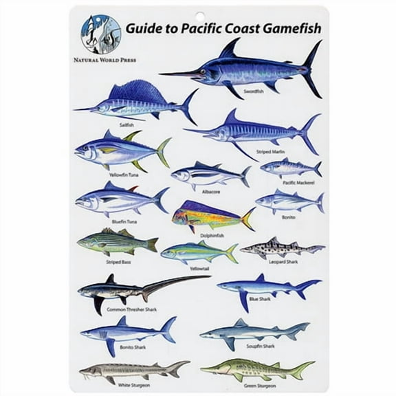 Pacific Game Fishes Fish I.D. Card
