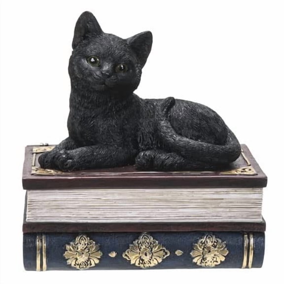 Pacific Giftware Black Cat On Book Box Figurine, Multicolor