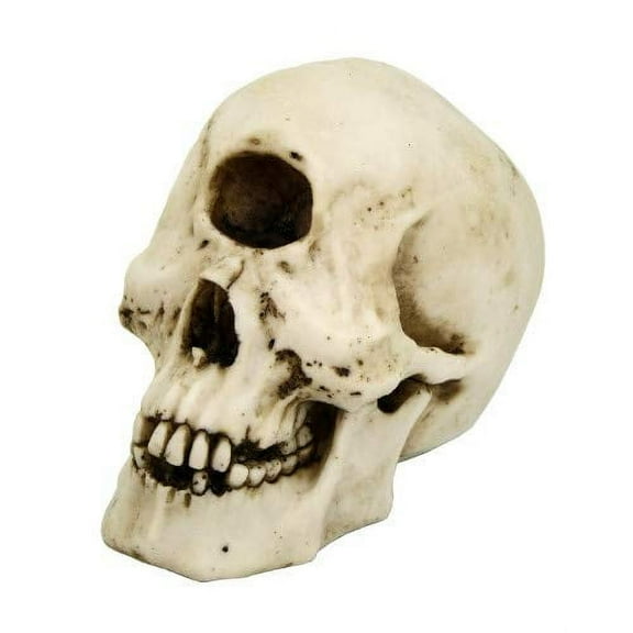 Pacific Giftware Cyclops Skull Collectible Figurine Desktop Home Decor