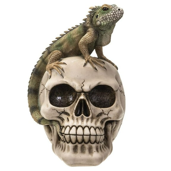 Pacific Giftware Iguana On Skull Figurine, 7.09-Inch Height