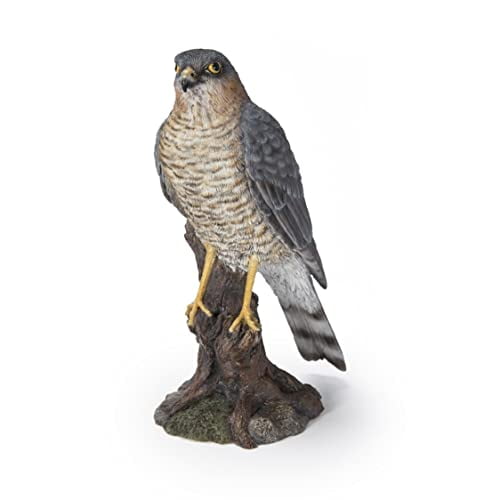 Pacific Giftware Sparrow Hawk Figurine, 8.66-inch Height, Tabletop Decoration
