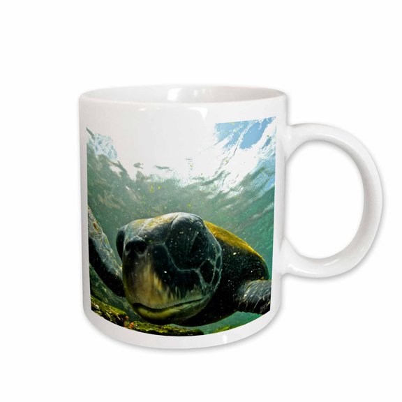 3drose, Pacific Green or Black Sea Turtle Feeding on Algae Punta Cormorant Floreana Island Galapagos, 11oz Mug