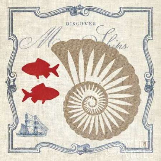 Pacific Nautilus Canvas Art - Studio Mousseau (24 x 24)