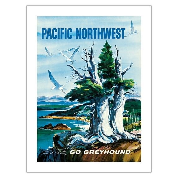 Pacific Northwest - Go Greyhound (Greyhound Bus Lines) - Vintage Travel Poster by S. Heming c.1958 - Bamboo Fine Art 290gsm Paper Print (Unframed) 18x24in