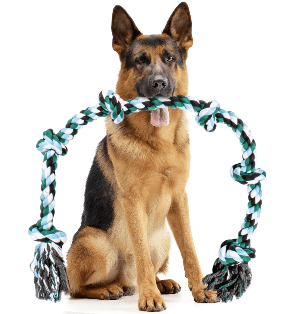 Pacific Pups Products Dog Rope Toy for Extra Large Dogs, XXL