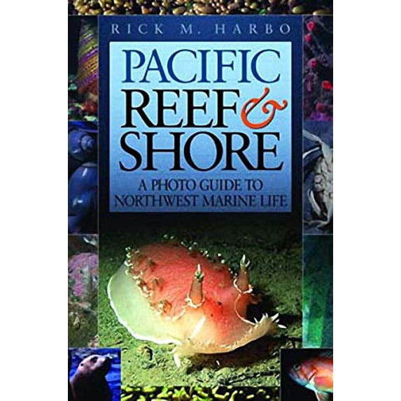 Pre-Owned Pacific Reef & Shore Revised Second Edition: A Photo Guide to Northwest Marine LIfe (Paperback) 1550173049 9781550173048