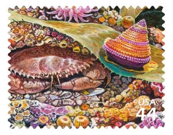 Pacific Rock Crab Canvas Art - US POSTAL SERVICE (22 x 28)