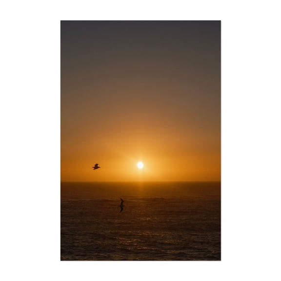 Pacific Sunbirds Ascending Towards Twilight - Otter Rock Oregon Photography Sunset Ocean Seascape Bird Coast Silhouette Nature Unframed Wall Art Print 40 x 60 inches
