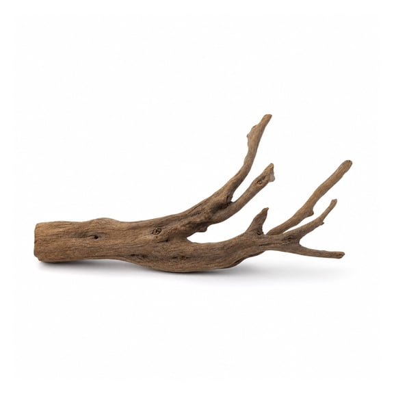 Canton Aquatics Pacific Driftwood Aquarium Decor, Brown, Small 6-8 inch, 1 Count