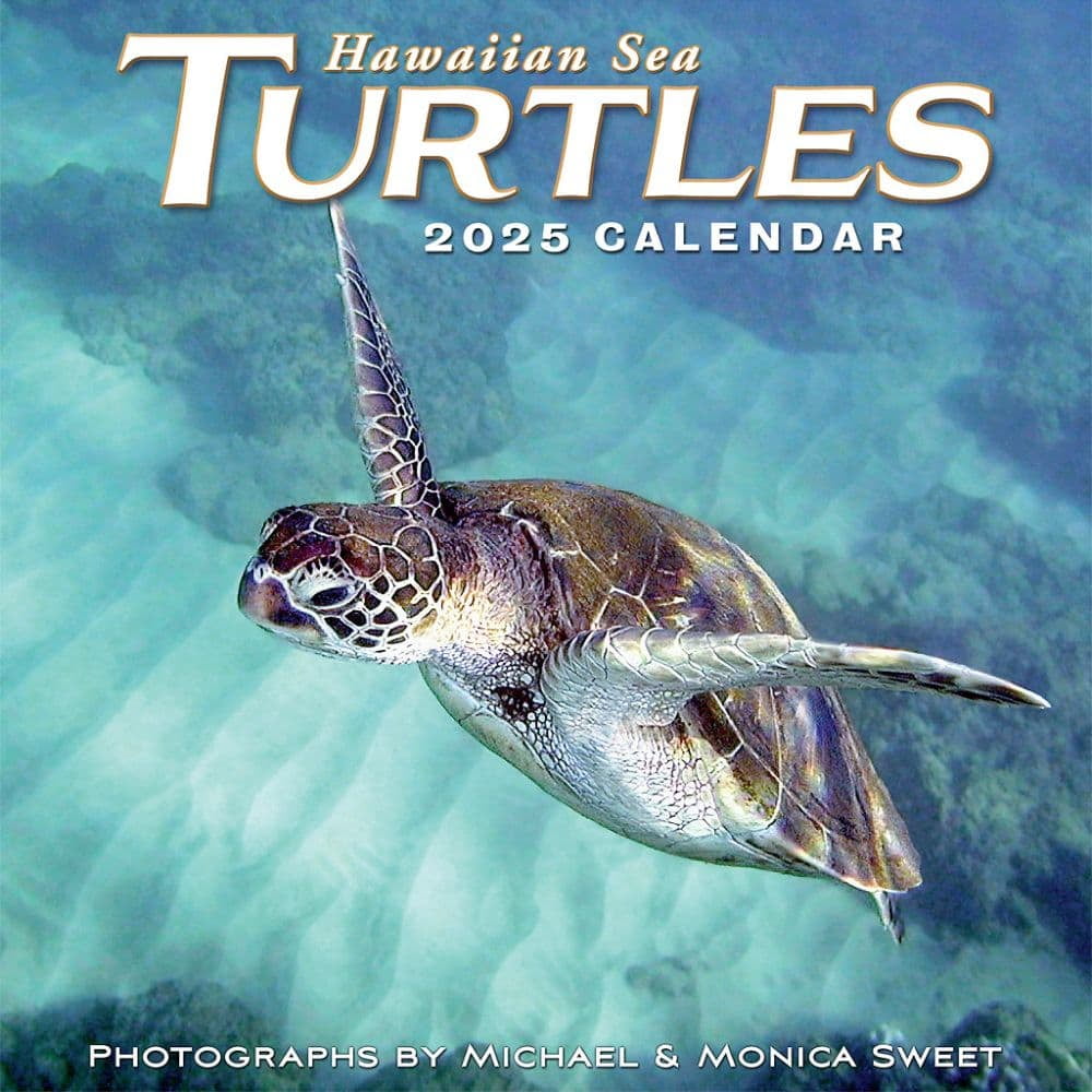 Pacifica Island Art, Hawaiian Sea Turtles 2025 Wall Calendar