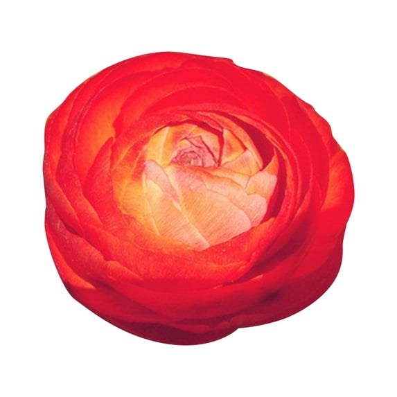 Pack Of 10 Multi - Colored Ranunculus Bulbs With Yellow, Red And Other Shades, Double - Flowered Spring Bulbs - Produce 10 - 20 Long - Lasting Blooms With 2 - Double