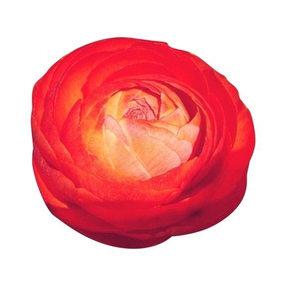 Pack Of 10 Multi - Colored Ranunculus Bulbs With Yellow, Red And Other Shades, Double - Flowered Spring Bulbs - Produce 10 - 20 Long - Lasting Blooms With 2 - 5 Inch Double